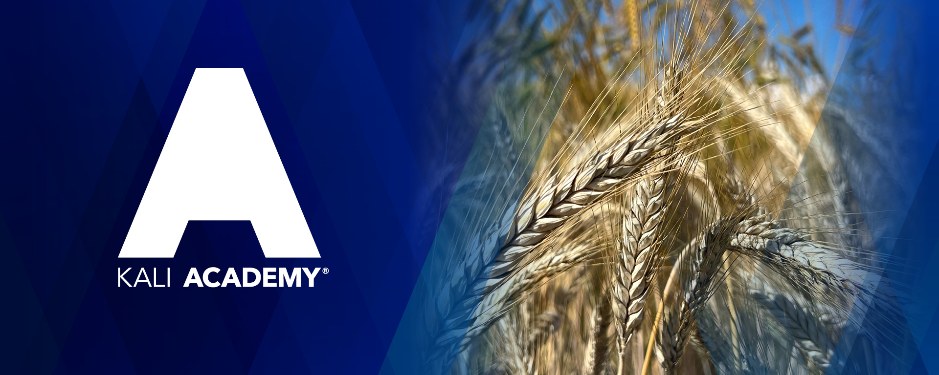 KALI ACADEMY logo on a blue background next to a close-up of cereal ears.